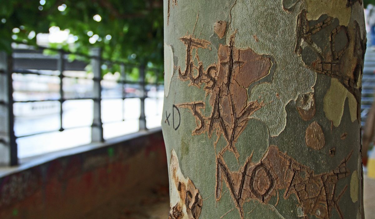 Just say no carved on tree